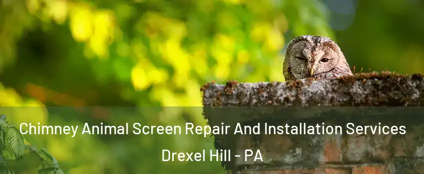  Chimney Animal Screen Repair And Installation Services Drexel Hill - PA