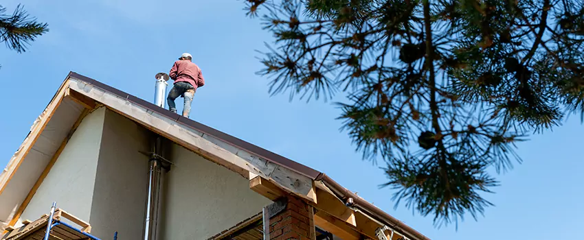 Birds Removal Contractors from Chimney in Drexel Hill, PA