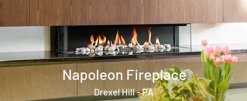  Napoleon Fireplace Drexel Hill - PA