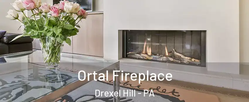 Ortal Fireplace Drexel Hill - PA